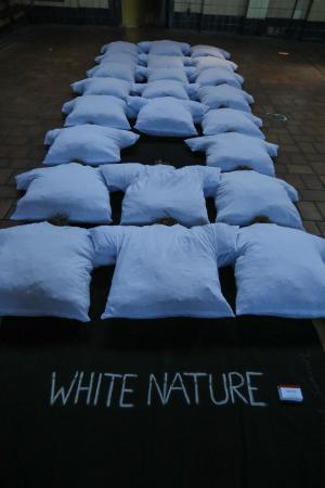 White Nature